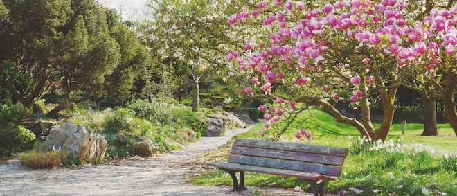 Peindre la nature dans les jardins de l'école Dubreuil (bois de Vincennes)
